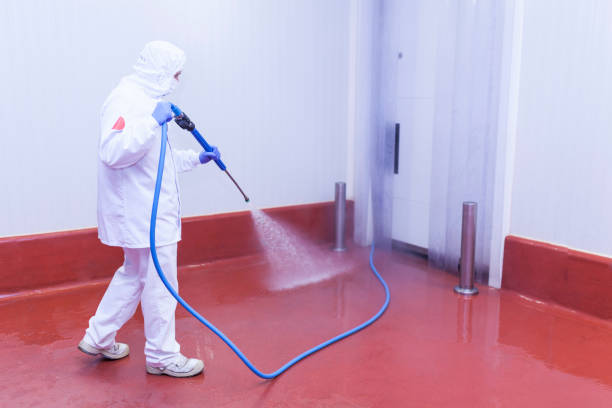 Best Sidewalk and Walkway Cleaning  in Buckeystown, MD